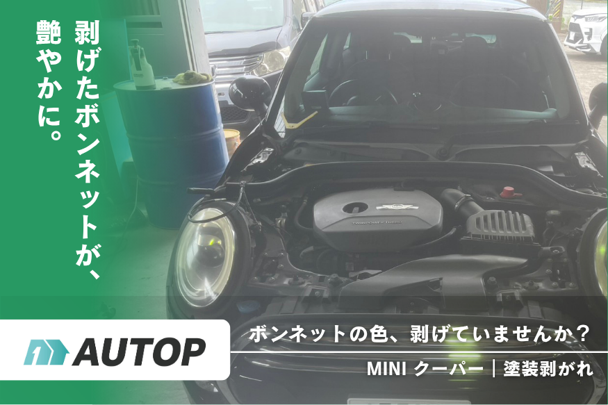 ミニクーパーの施工
